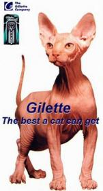 gilette.jpg