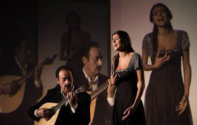 fado-saura.jpg