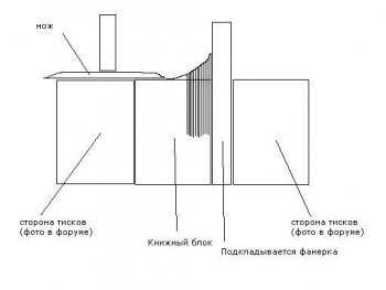 Вид реза.jpg (13.67 КБ) 43437 просмотров Вид реза